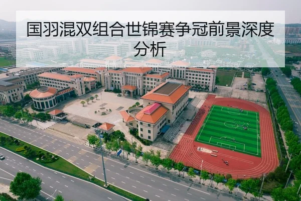 国羽混双组合世锦赛争冠前景深度分析